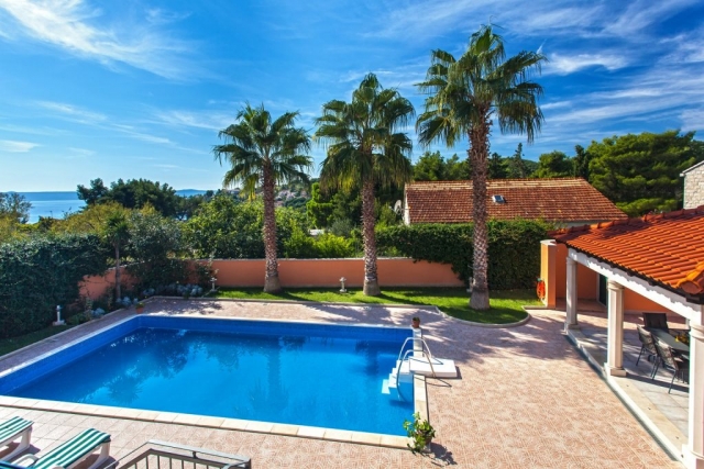 Amazing colorful view on the swimming pool and the three palm trees in the Villa Rasotica